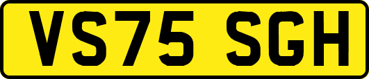 VS75SGH