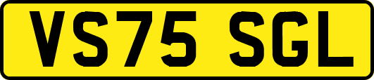 VS75SGL