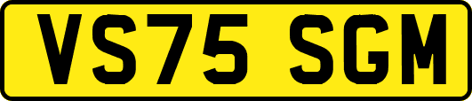 VS75SGM