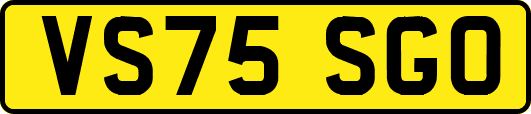 VS75SGO
