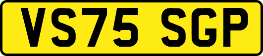VS75SGP