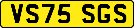 VS75SGS