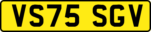 VS75SGV