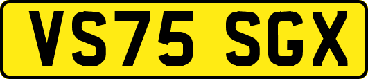 VS75SGX