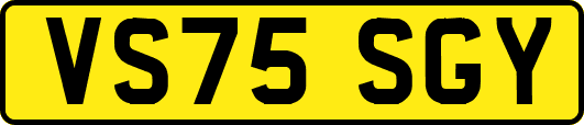 VS75SGY