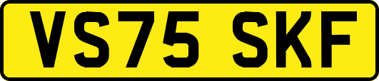 VS75SKF