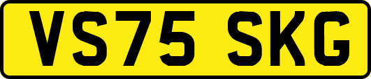 VS75SKG
