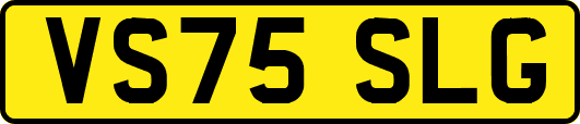 VS75SLG