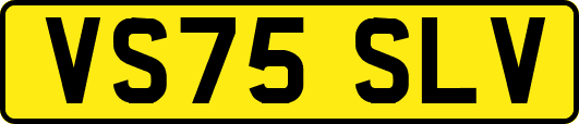 VS75SLV