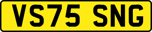 VS75SNG