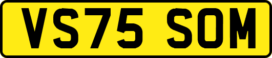 VS75SOM