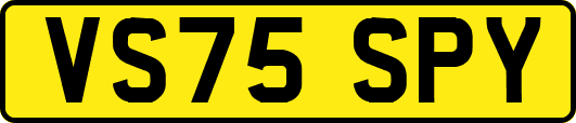 VS75SPY