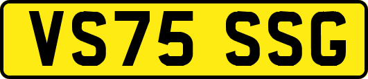 VS75SSG