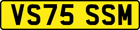VS75SSM