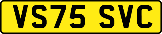 VS75SVC