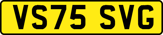 VS75SVG