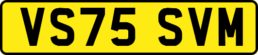 VS75SVM