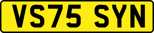 VS75SYN