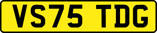 VS75TDG