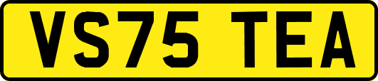 VS75TEA