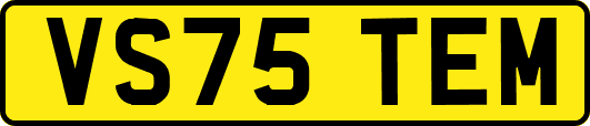 VS75TEM