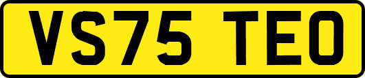 VS75TEO