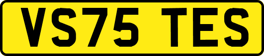 VS75TES