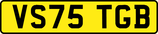 VS75TGB