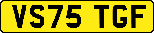 VS75TGF