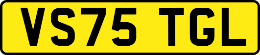 VS75TGL