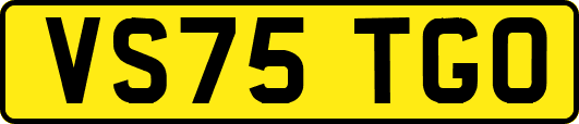 VS75TGO