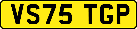VS75TGP