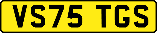 VS75TGS