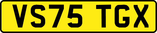 VS75TGX