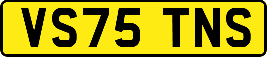 VS75TNS