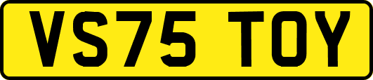 VS75TOY