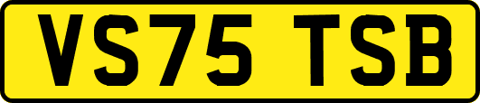 VS75TSB