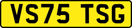 VS75TSG