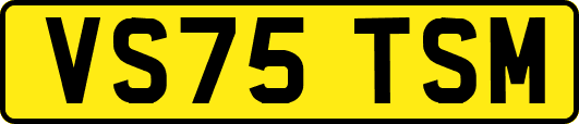 VS75TSM
