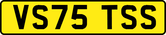 VS75TSS