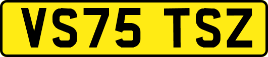 VS75TSZ