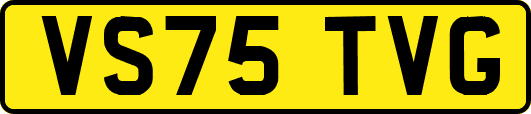 VS75TVG