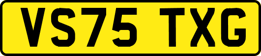 VS75TXG