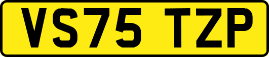 VS75TZP