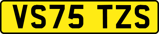 VS75TZS