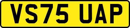 VS75UAP