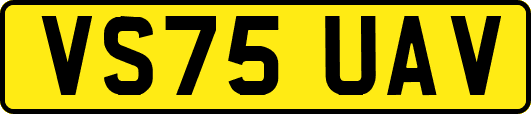 VS75UAV