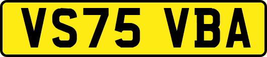 VS75VBA