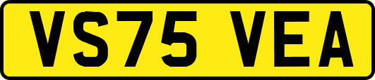 VS75VEA