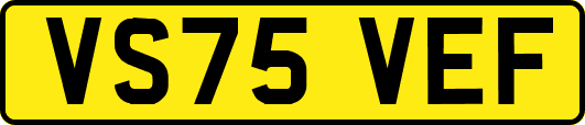 VS75VEF